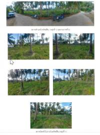 https://suratthani.ohoproperty.com/201107/ธนาคารกรุงไทย/ขายที่ดินเปล่า/หน้าเมือง/เกาะสมุย/สุราษฎร์ธานี/