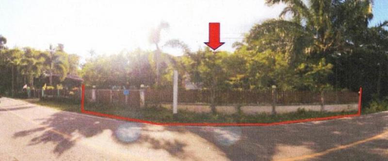 เวียง ไชยา สุราษฎร์ธานี