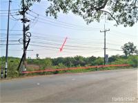 https://suratthani.ohoproperty.com/181555/ธนาคารกสิกรไทย/ขายที่ดินว่างเปล่า/ป่าเว/ไชยา/สุราษฎร์ธานี/