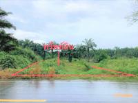 https://suratthani.ohoproperty.com/200566/ธนาคารกสิกรไทย/ขายที่ดินว่างเปล่า/ป่าเว/ไชยา/สุราษฎร์ธานี/